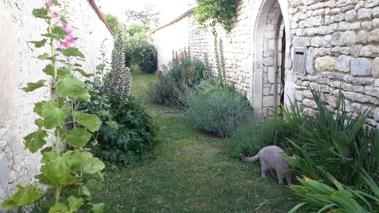 Les Jardins De Clerjotte Bed & Breakfast Saint-Martin-de-Re Bagian luar foto